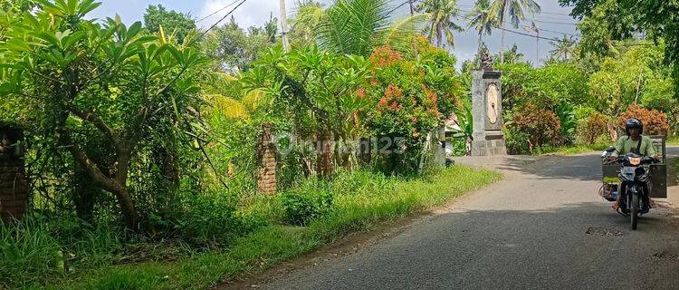 For Sale 40 Are Land In Central Lovina Walking Distance To Beac 1