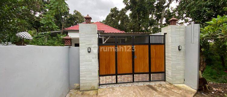 For Sale Private House 2 Br In Area Lovina 1
