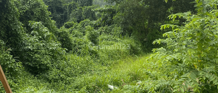 Tanah Luas Lokasi Strategis Pinggir Jalan Raya 1