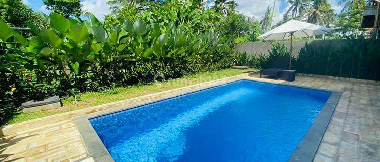 Villa Modern Tropical View Sawah With Pool Di Ubud 1