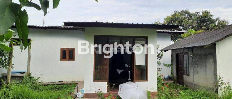 Bungalow Hitung Tanah Saja di Penebel Tabanan 1