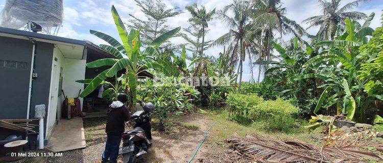 kan Tanah Pasekan Kediri Tabanan 1