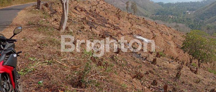 Tanah 2 Hektare di Sekotong Lombok Nusa Tenggara Barat 1