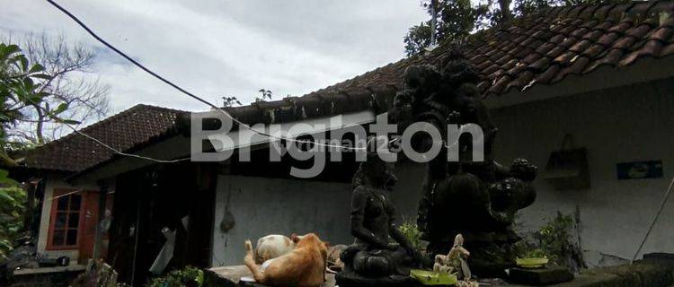 Rumah Bali Di Penarungan Mengwi Kuta Utara 1