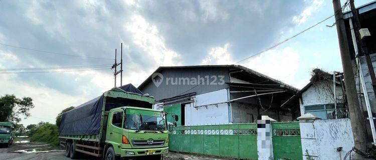 Termurah Gudang Luas Besar Murah Pol Di Pergudangan Osowilangon Indah 1