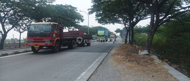 Tanah Industri di Nol Raya Pucuk Lamongan 1