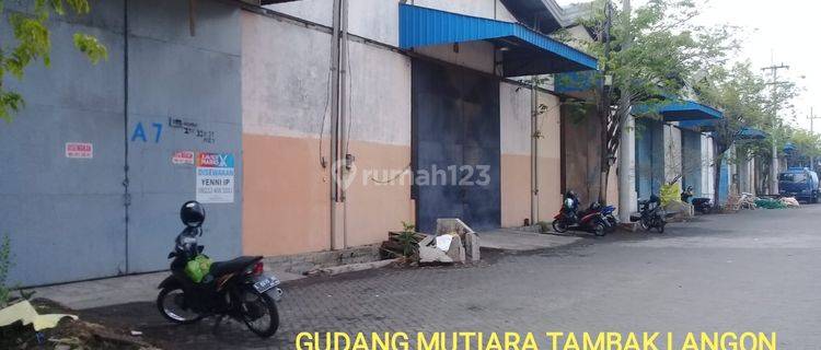 Gudang 300 M2 di Mutiara Tambak Langon Cuma 130jt 1