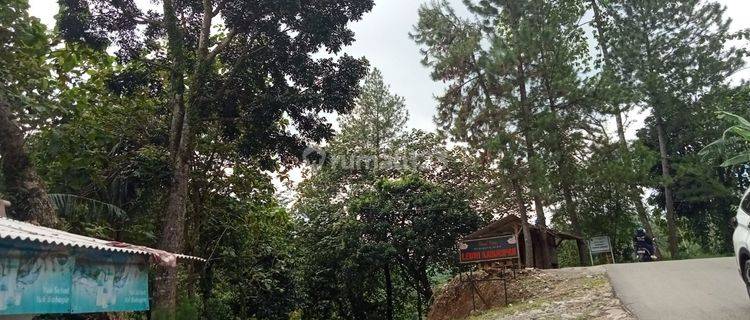 Tanah Dibawah Harga Pasaran Cocok Untuk Villa, Resto Atau Cafe Di Babakan Madang, Sentul Bogor. 1