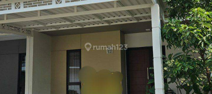 Rumah Bagus di Summarecon Bekasi Cluster Olive 1