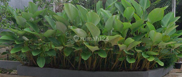 Sewa Rumah Lingkungan Cluster Sawangan 1