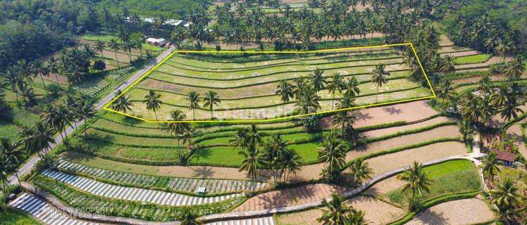 Tanah Jalur Alternatif Secang Kopeng 1
