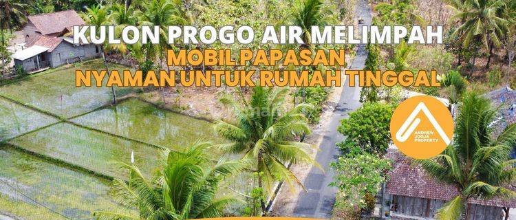 Tanah Pekarangan Kulon Progo Cocok Untuk Rumah Tinggal Masa Tua 1