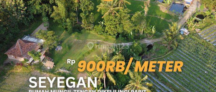 Rumah Mungil Tengah Sawah Kaya View Sayegan 1