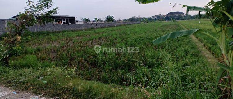 Tanah Kwasaran Dekat Pusat Kota Solo Cocok Untuk Perumahan 1