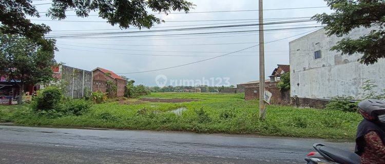 Dijual Tanah Kawasan Pergudangan Dan Pabrik di Parangjoro 1