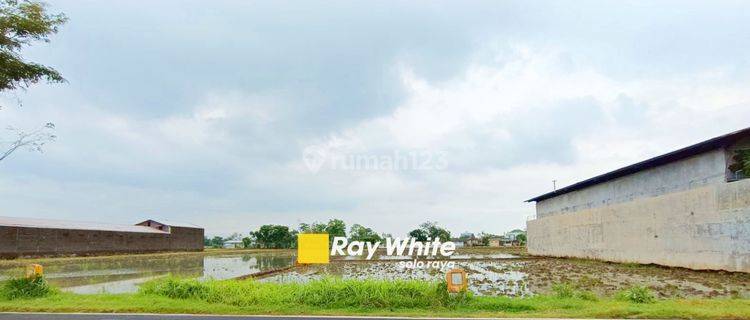 Dijual Tanah di Kawasan Pergudangan Bulakrejo, Sukoharjo 1
