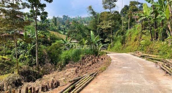 Dijual Tanah di Kawasan Kebun Teh di Kawasan Wisata Kemuning 1