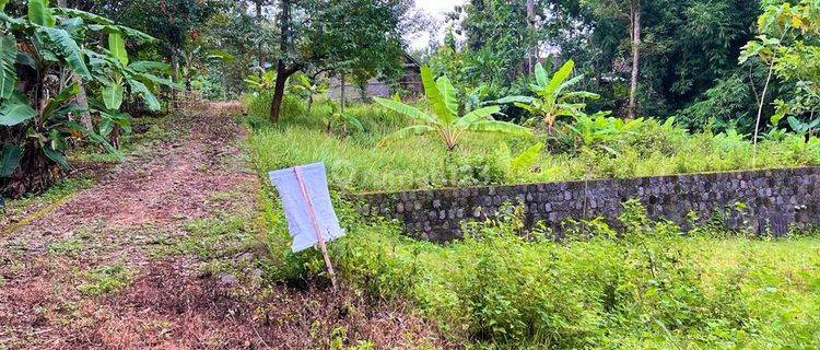 Dijual Tanah Kebun Durian Bonus Rumah Joglo Mojogedang, 1