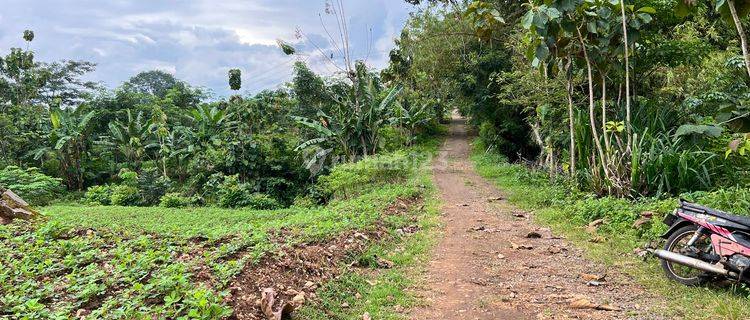 Dijual Tanah Sawah Bendungan, Kedawung, Sragen.  1