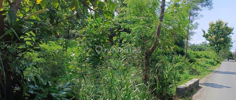 Dijual Tanah Winong, Boyolali, Cocok Untuk Investasi 1