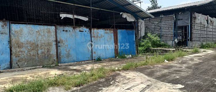 Dijual Tanah Luas 11 Hektar, Lokasi di Semanu, Gunung Kidul 1