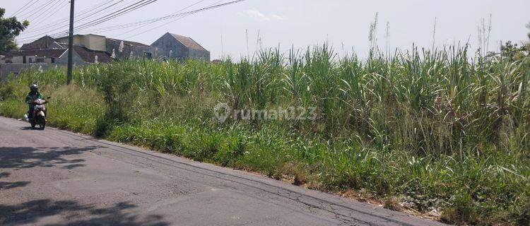 Tanah Strategis di Kawasan Berkembang Singopuran, Kartasura 1