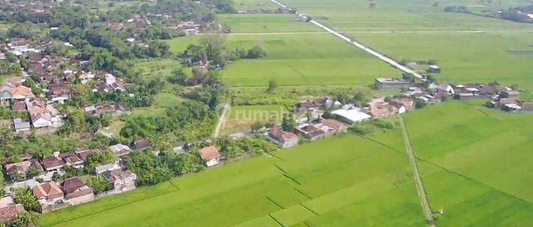 Dijual Tanah 2Ha, Strategis di Jalur Lingkar Sidoharjo, Sragen 1