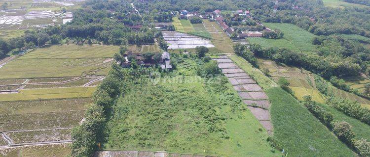 Dijual Tanah Murah di Tasikmadu, Karanganyar 1