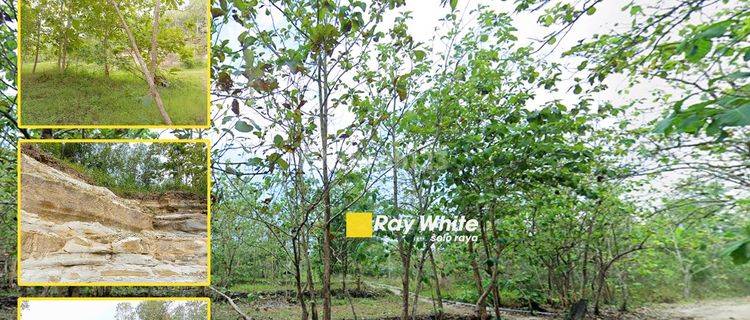 Dijual Tanah Pekarangan di Manyaran, Wonogiri 1