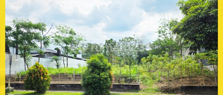 For Rent Business and Culinary Area on Jl. Merdeka Boyolali 1