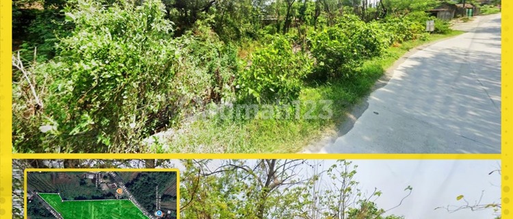 Tanah 1,3 Hektar Cocok Untuk Perumahan di Gondangrejo,Karanganyar 1