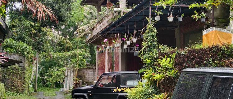 Rumah lantai 3,lingkungan vila area ubud 1