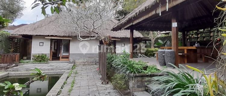 Vila Siap Huni, Lingkungan Tenang dan Nyaman Area Ubud 1