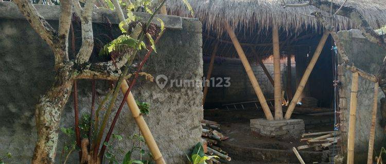 Vila abstrak perlu renop, lingkungan nyaman diubud 1