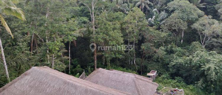 Vila Sewa jangka Panjang Vew Menawan Diubud 1