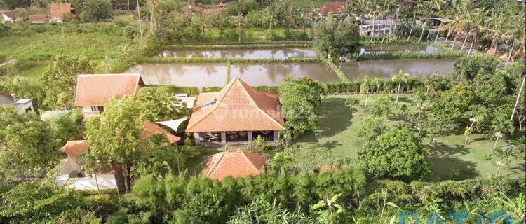 Rumah Siap Huni Lingkungan Tenang Dan Nyaman Dipering Gianyar 1