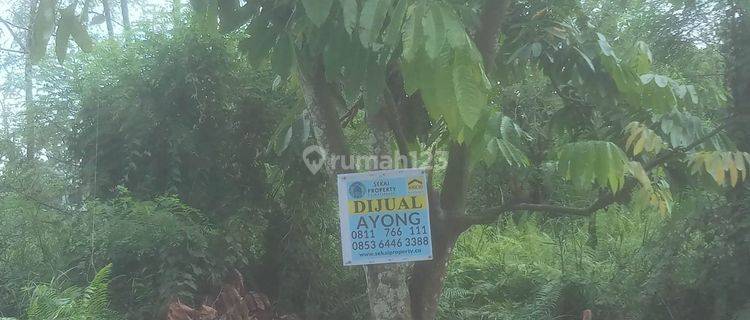 Dijual Sebidang Tanah Lokasi Tengah Kota di Jl. Marsan Panam Pekanbaru 1