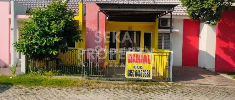 DIJUAL / DISEWAKAN RUMAH MURAH LOKASI JL. PEMUDI - PEKANBARU 1