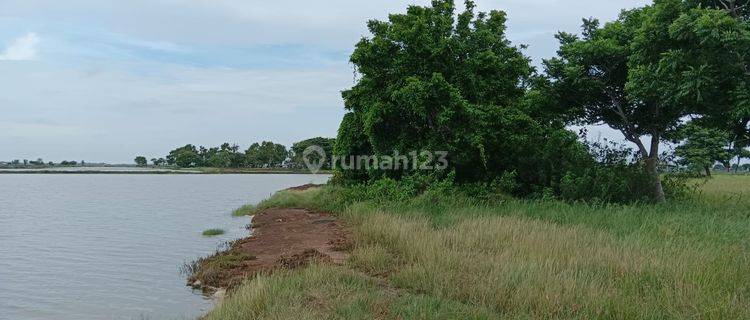 Jual Cepat Tambak Sawah Bonus Rumah 3,5ha di Karawang 1