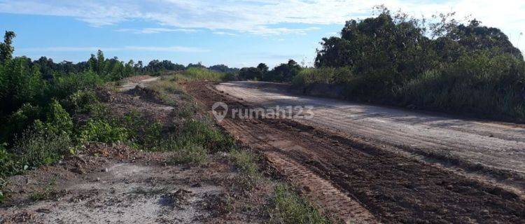 Tanah 2 Ha Lokasi Strategis Samarinda Kalimantan Timur 1