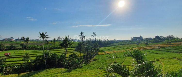 Dijual Rumah 2 Lantai View Sawah Abadi di Pegending Canggu Badung Bali 1