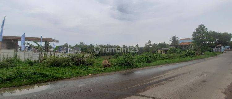 Tanah berlatar gunung area perumahan dekat kampus 1