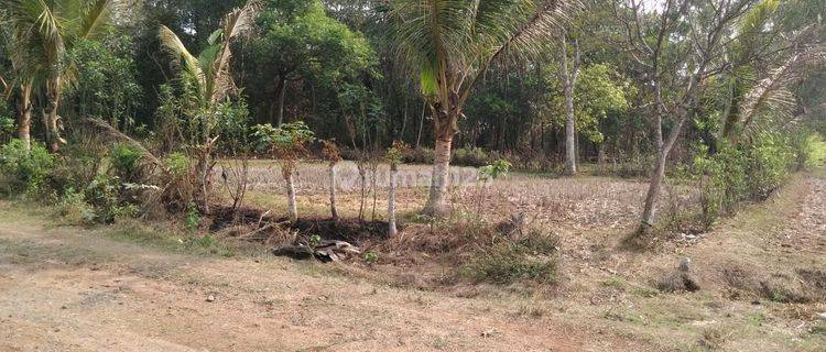 Tanah Mabes Margasari Lokasi Dekat Ke Jalan Raya  1