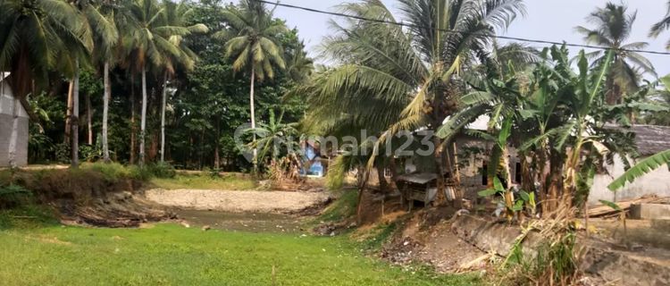 Tanah Malimping Sukatani, Kab Lebak, Banten, Ja bar Luas 120 Ha 1