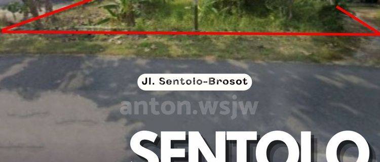 Tanah Sentolo Tepi Jl.sentolo Brosot Luas 1038 M2 Ld 9 M SHM 1