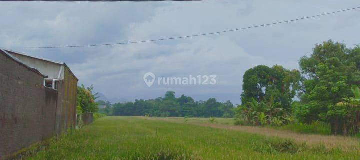 Dijual Tanah Mainroad lokasi strategis Jalan Aspen Cirebon 1