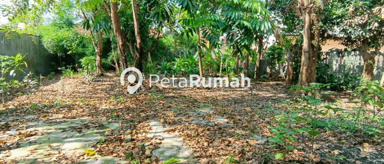 Dijual Tanah Jalan Surya Samping Mesjid A Ramli Tembung  1