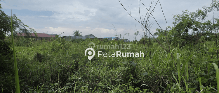 DIJUAL TANAH JALAN NGUMBAN SURBAKTI 1