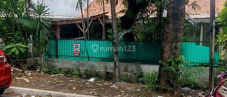 Tanah di jalan tawakal ujung, Tawakal SHM - Sertifikat Hak Milik 270 m² 1