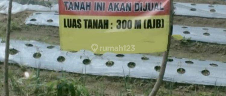 DIJUAL TANAH DI PANGALENGAN BANDUNG  1